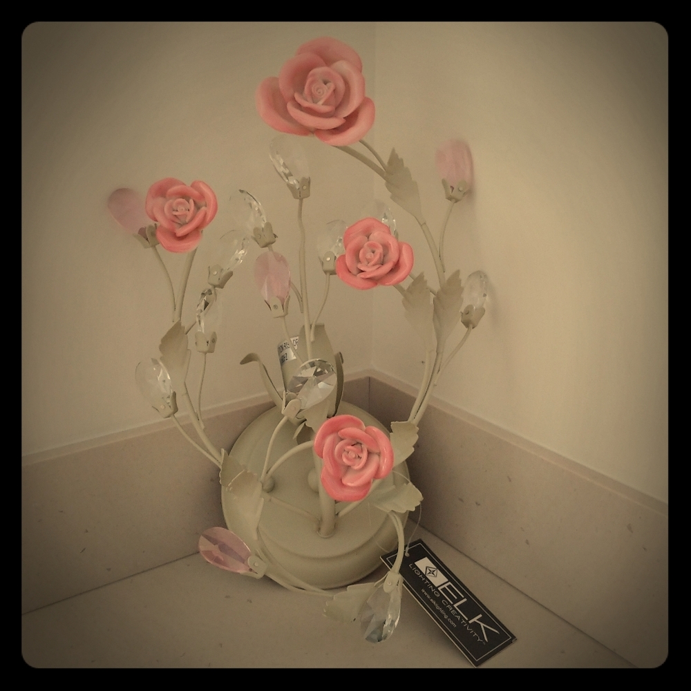Beautiful rose light fixture